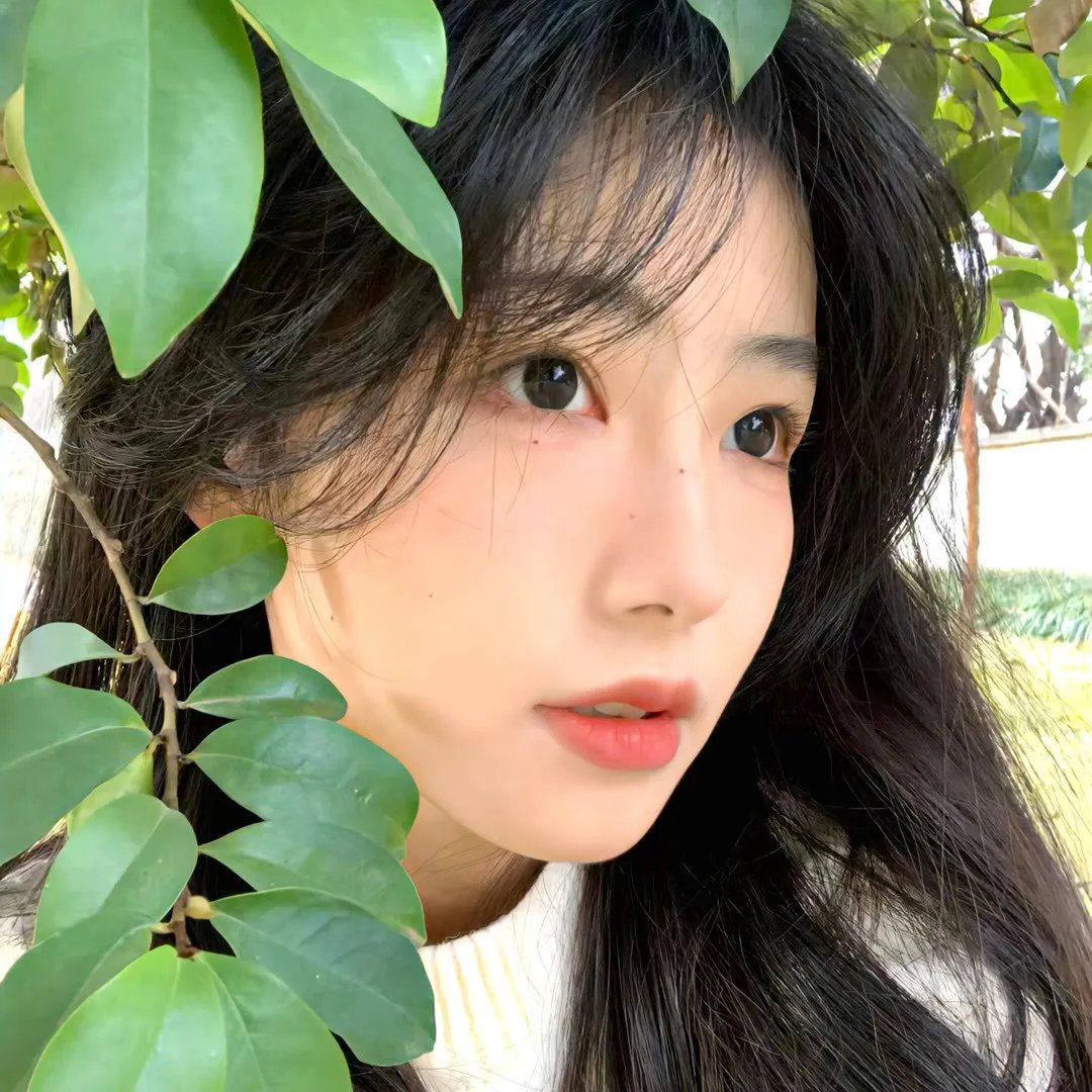潜能探案组第二季
