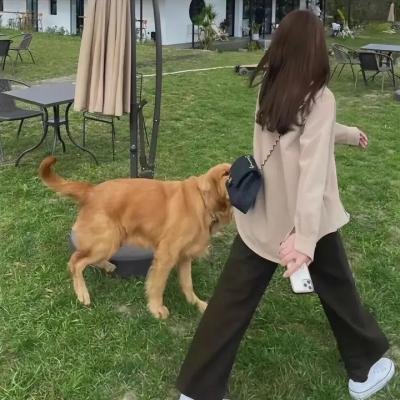 鼓书艺人